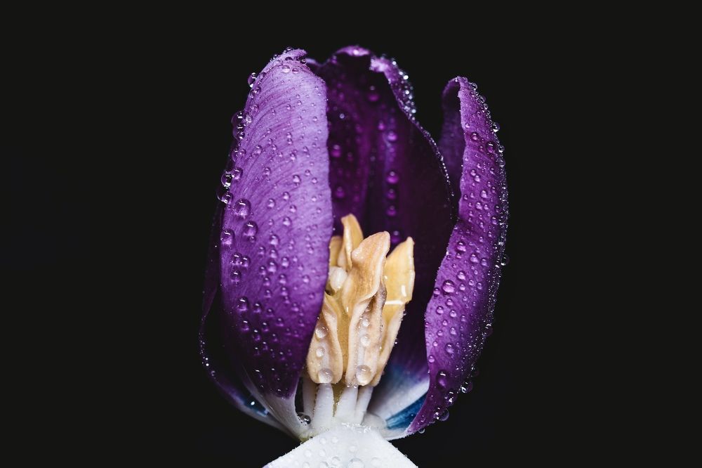 Фотография автора Viktoria Farkas