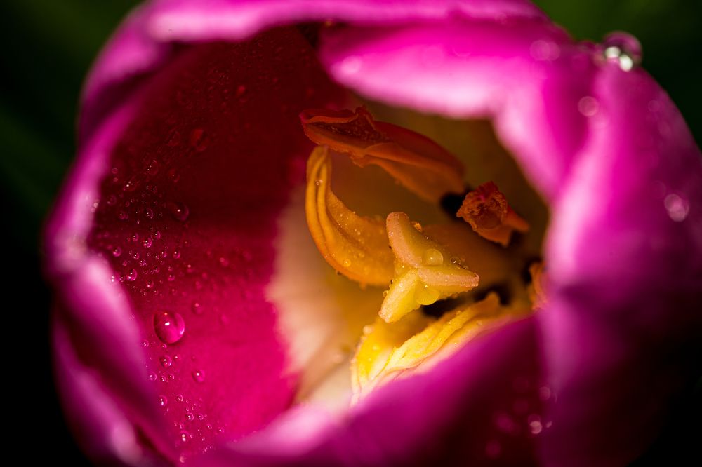 Фотография автора Viktoria Farkas