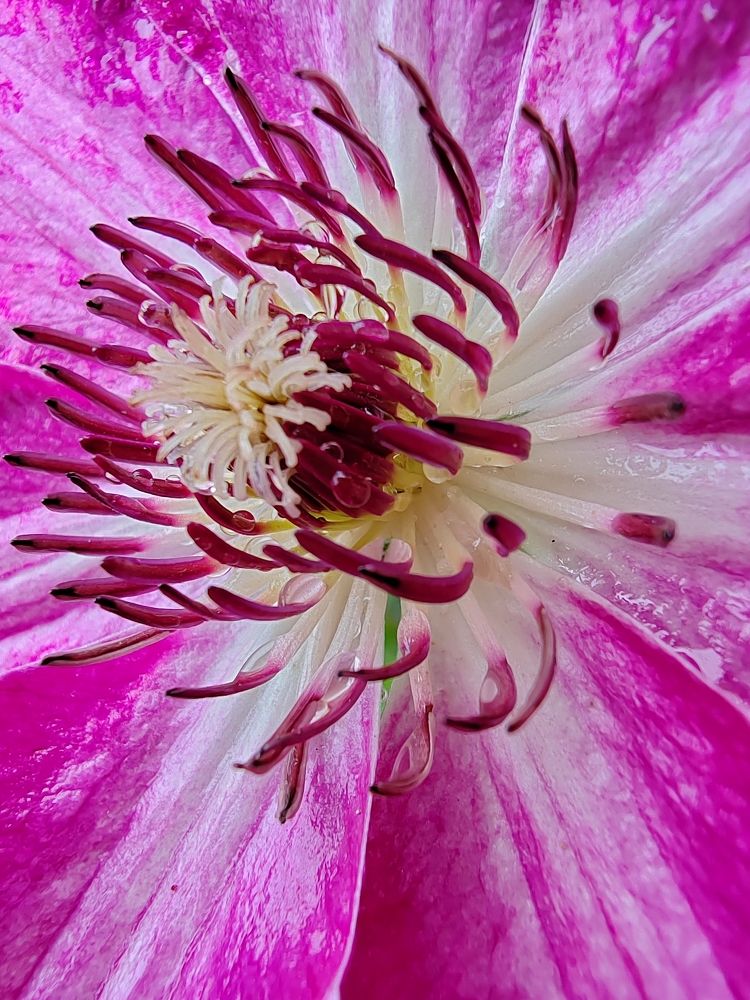 Фотография автора Татьяна Егорова