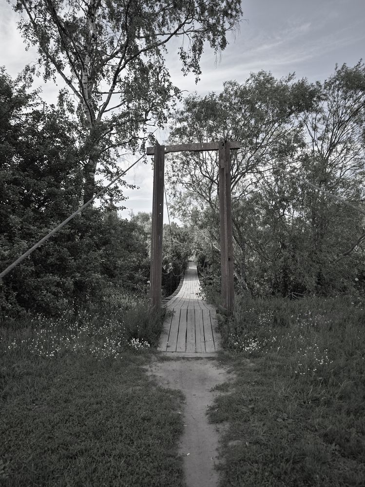 Photograph by Александра Шилова