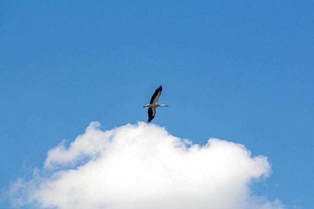 Photograph by Федор Нестерко