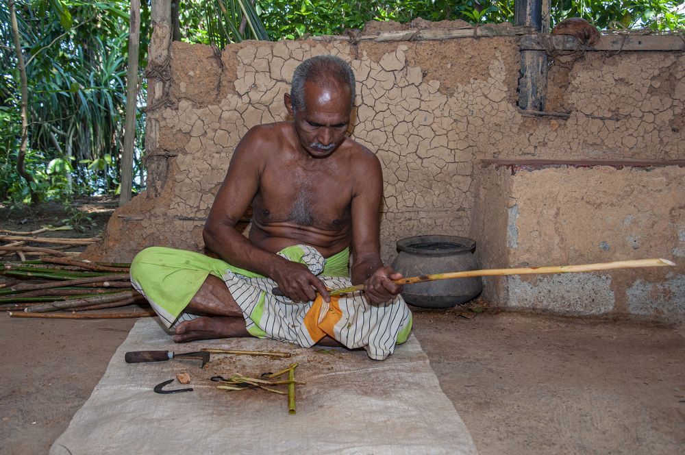 Photograph by Chamara Sulakkhana Polwatta Siriyalage