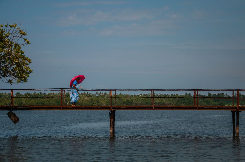 Photograph by Chamara Sulakkhana Polwatta Siriyalage