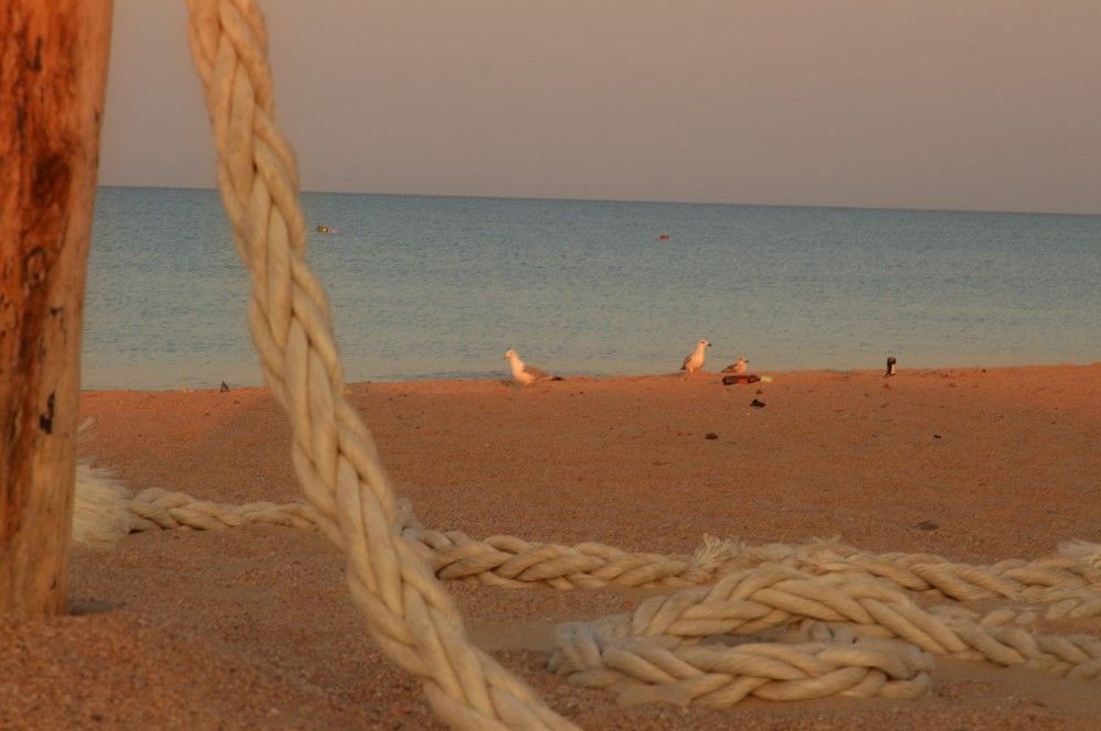 Магия в жёлто-голубых тонах.