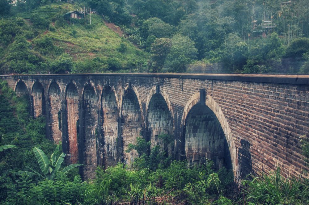 Photograph by Chamara Sulakkhana Polwatta Siriyalage