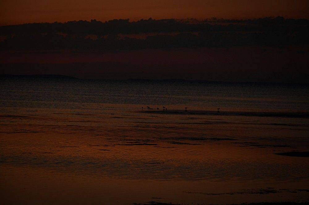 Рассвет над лиманом.