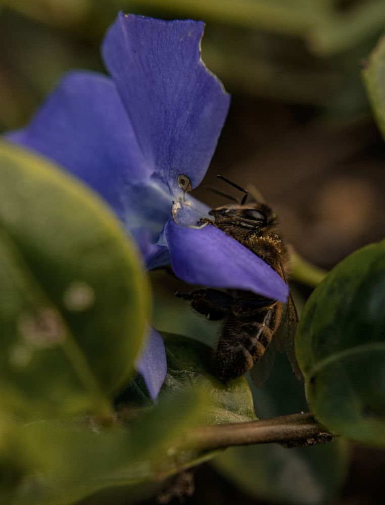 Photograph by Ольга Лобова