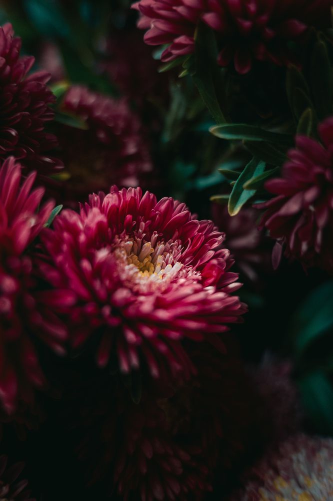 Photograph by Остапенко Алина