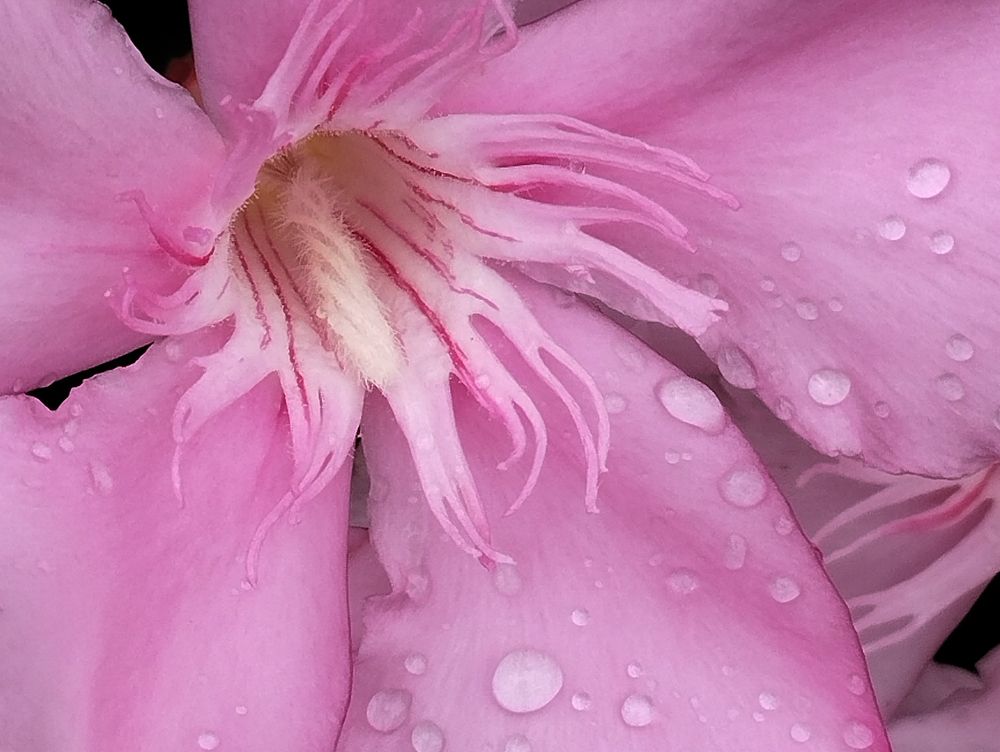 Photograph by Ольга Салтыкова