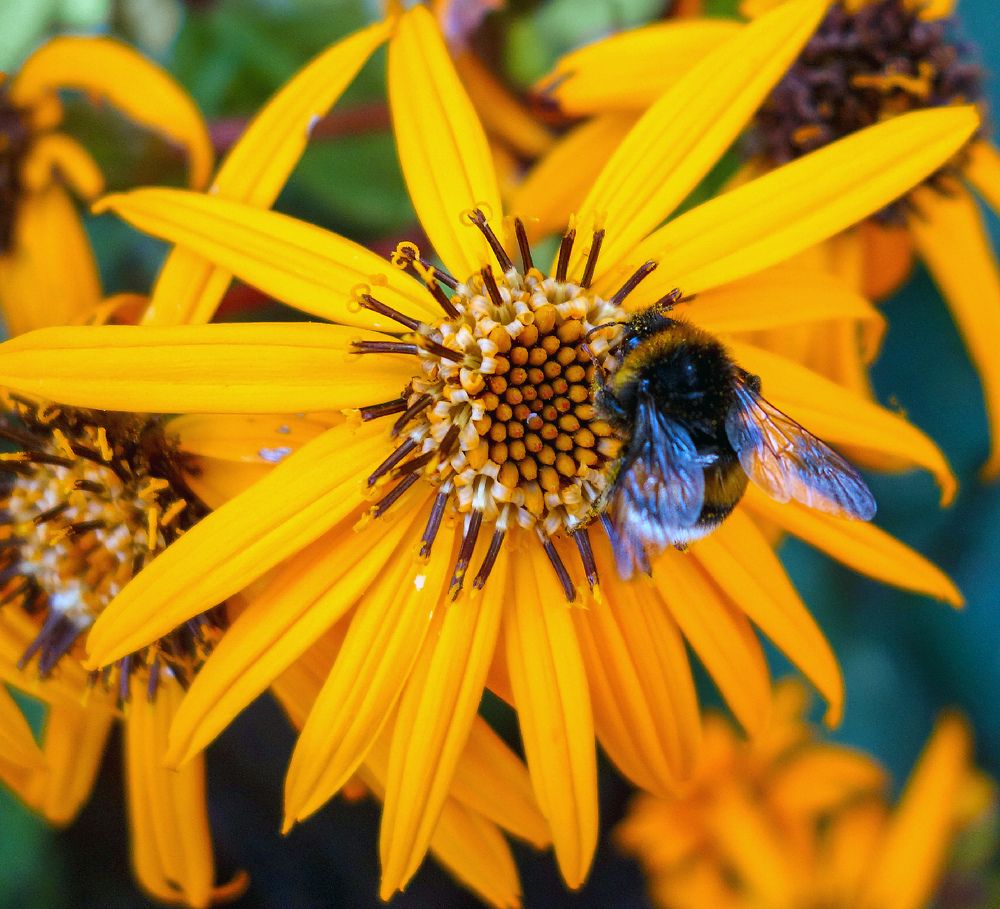 Photograph by IRINA KORNEVA