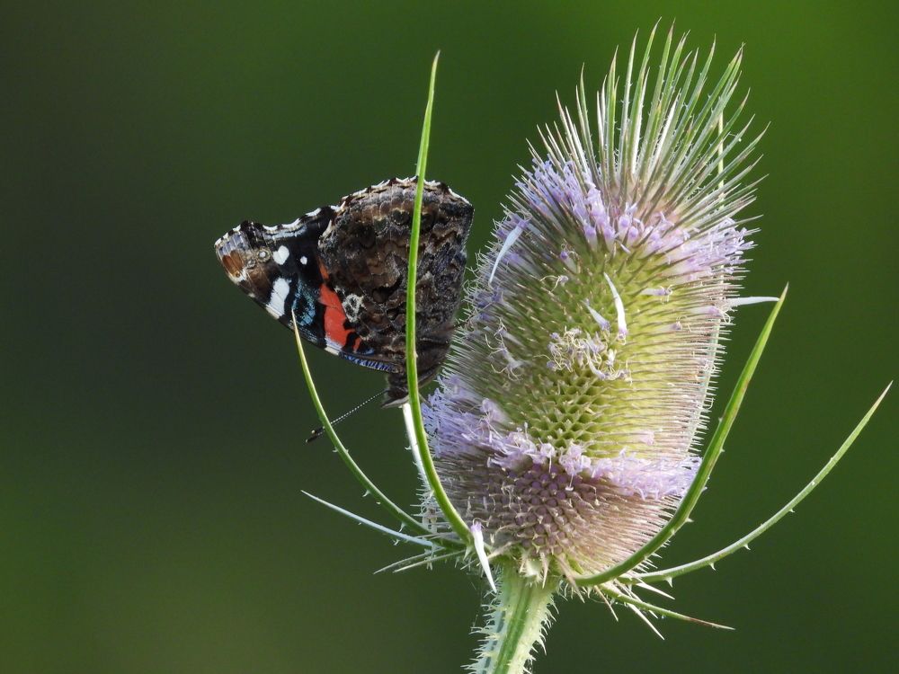 Photograph by Tyler Dewees