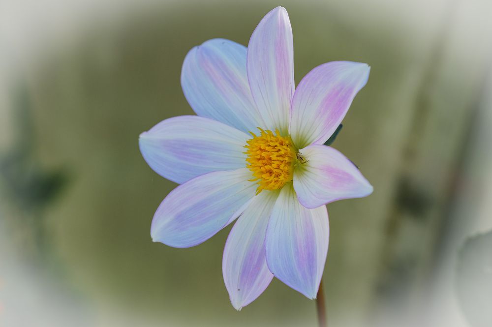 Photograph by Александр Денисов