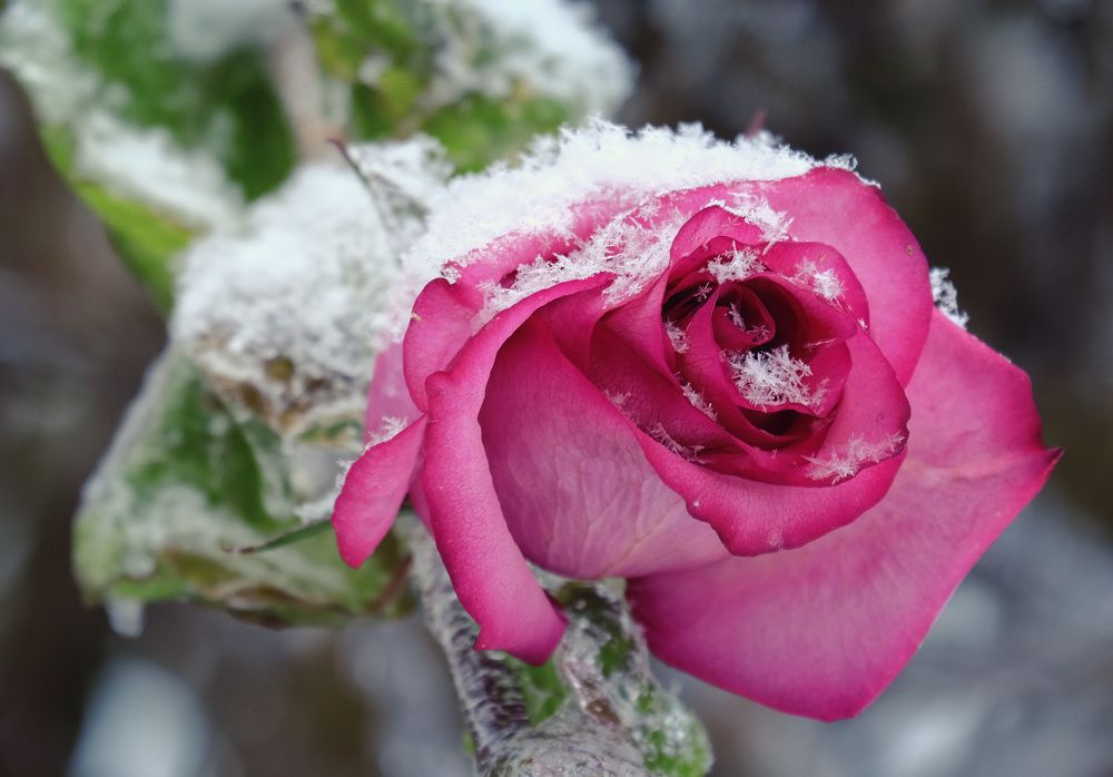 Photograph by Александр Денисов