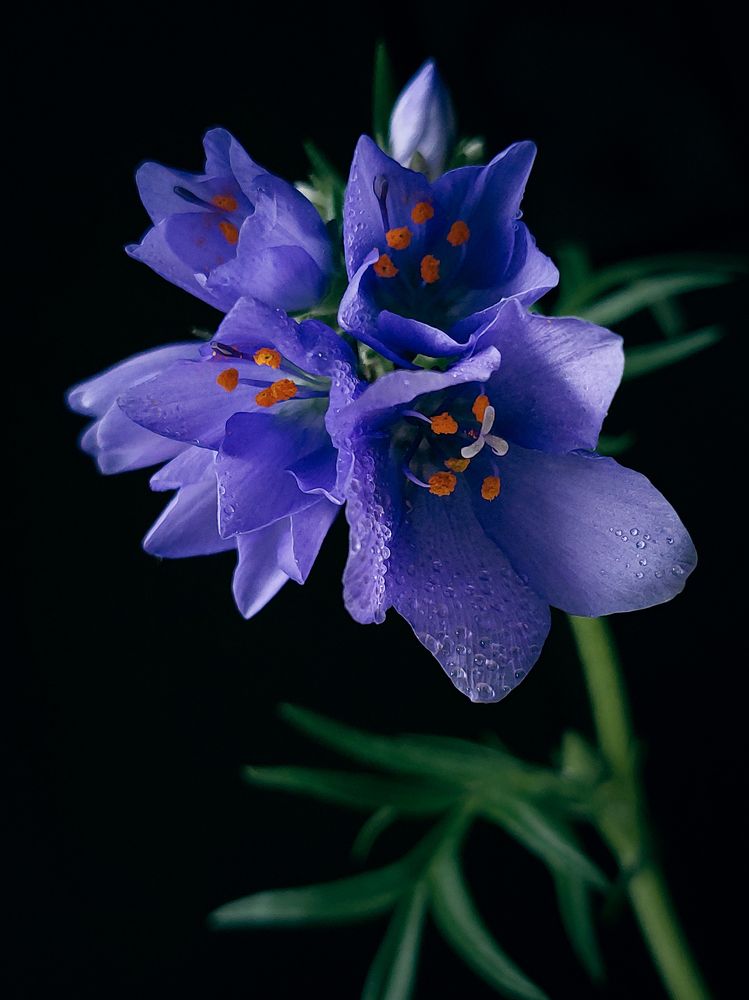 Photograph by Анна Чичилова