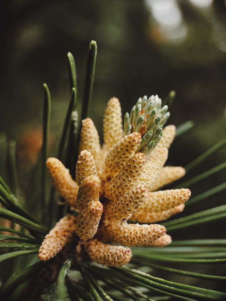 Photograph by Анна Чичилова