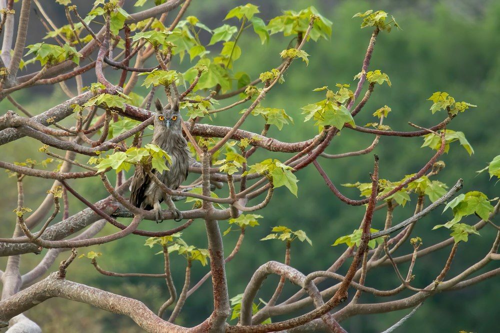 Photograph by Pratik Bhatt