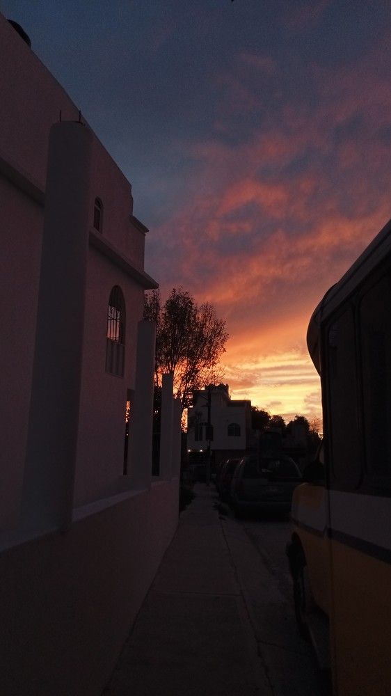 Photograph by Sofia Angeles Roman