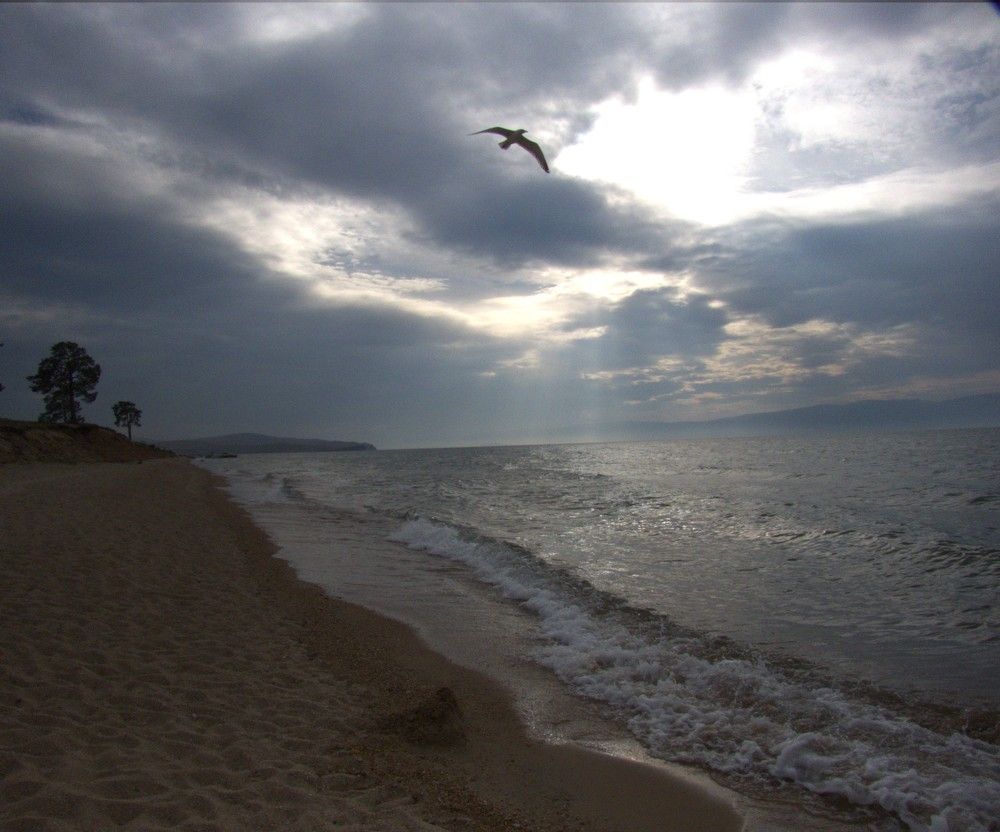 Фотография автора Елена Соловьева