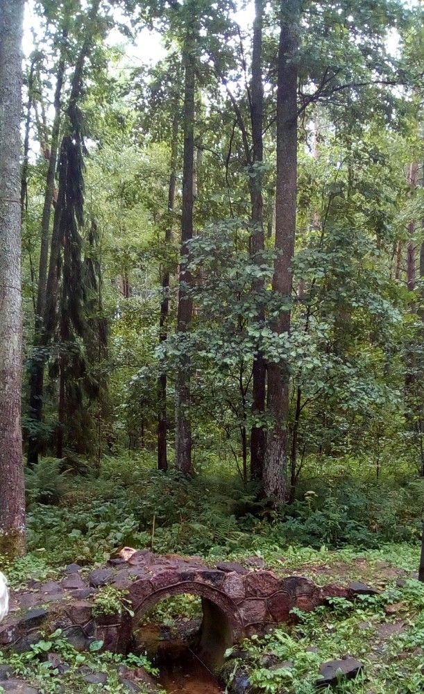 Фотография автора Наталья Драгун