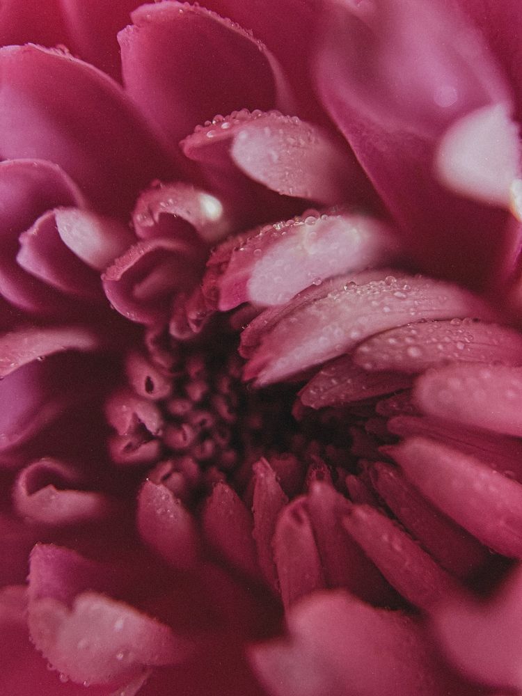 Photograph by Анна