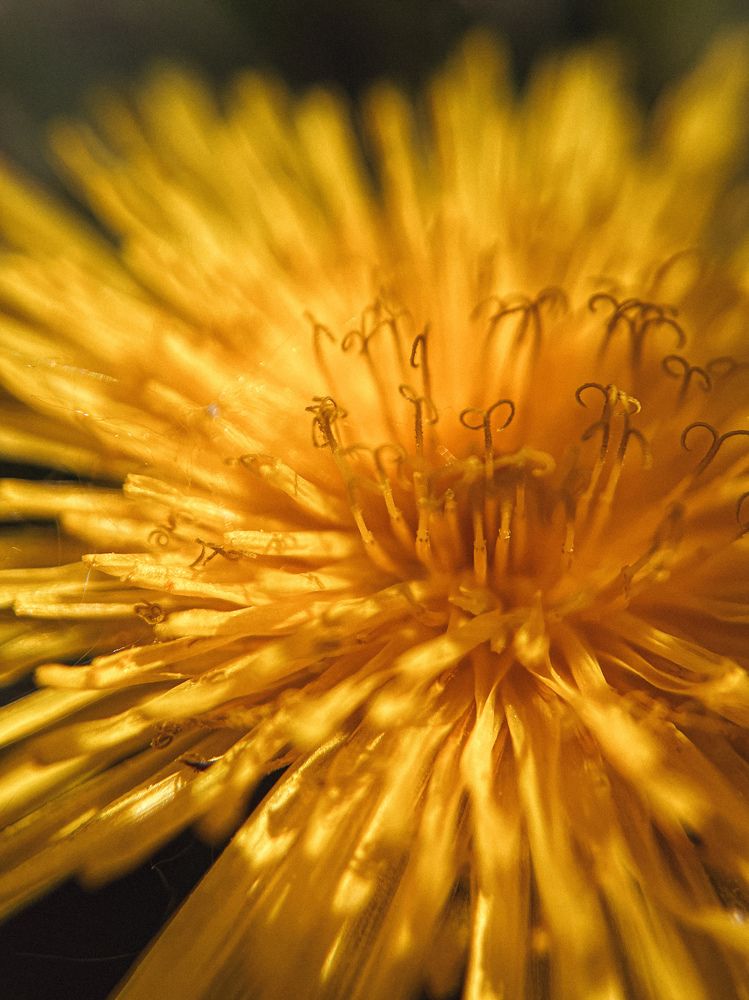 Photograph by Анна