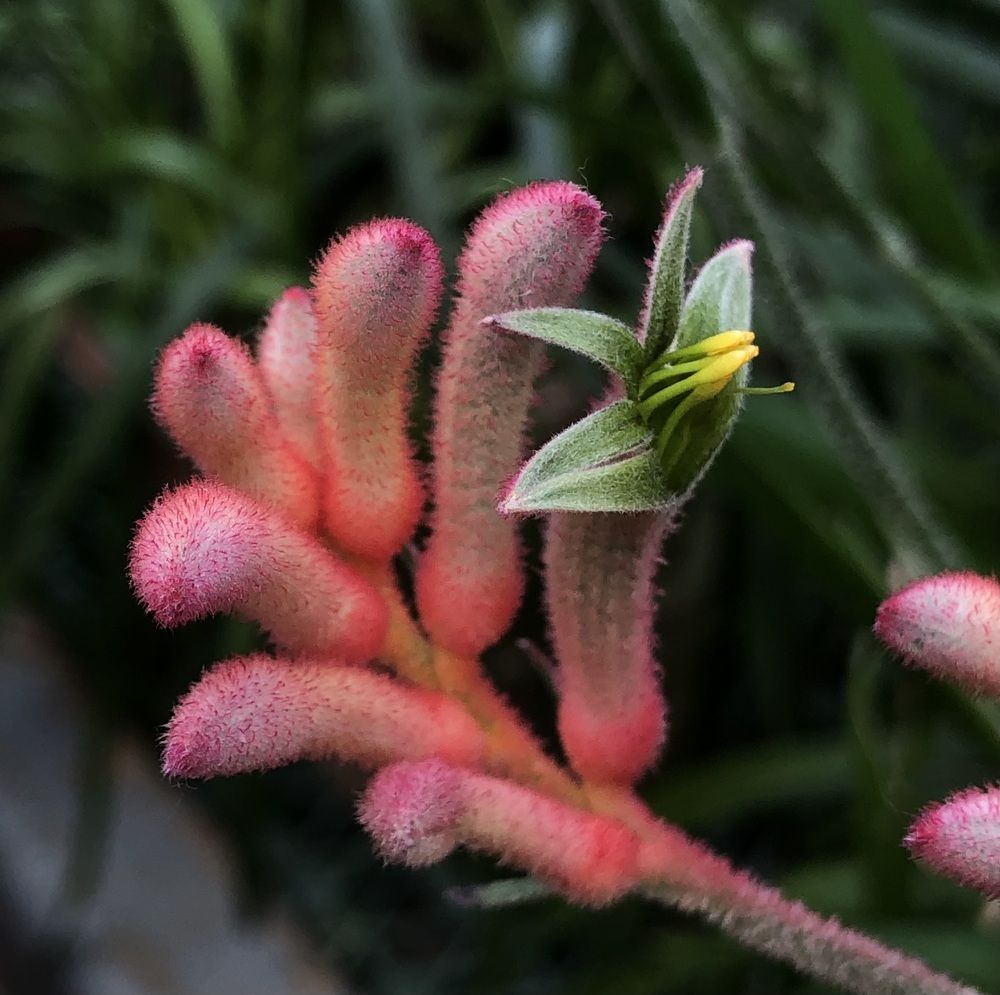 Photograph by Мария Бессмертная