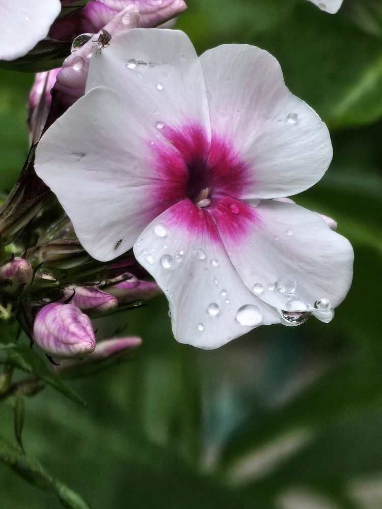 Photograph by Галина Левина