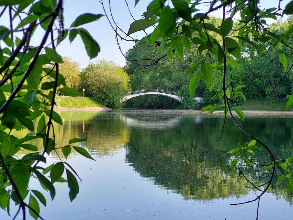 Photograph by Наталья Дубовкина