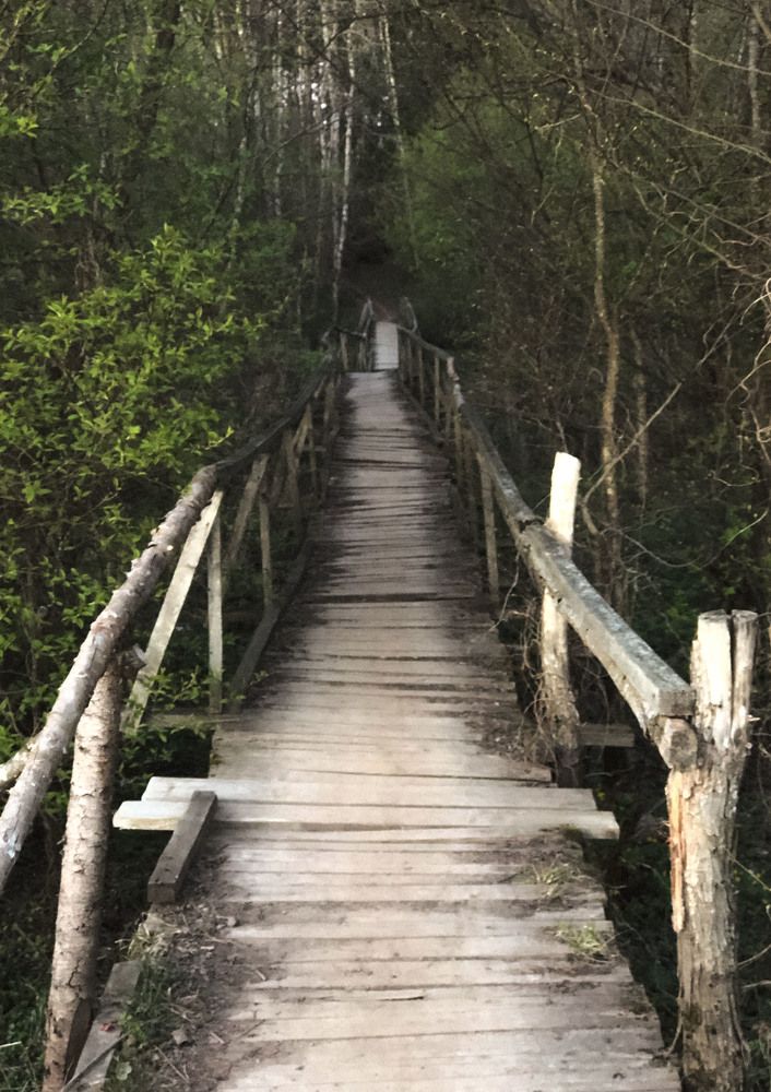 Photograph by Светлана Долганова