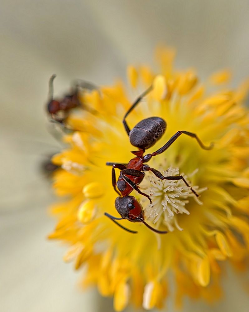 Photograph by Кузнецов Дмитрий