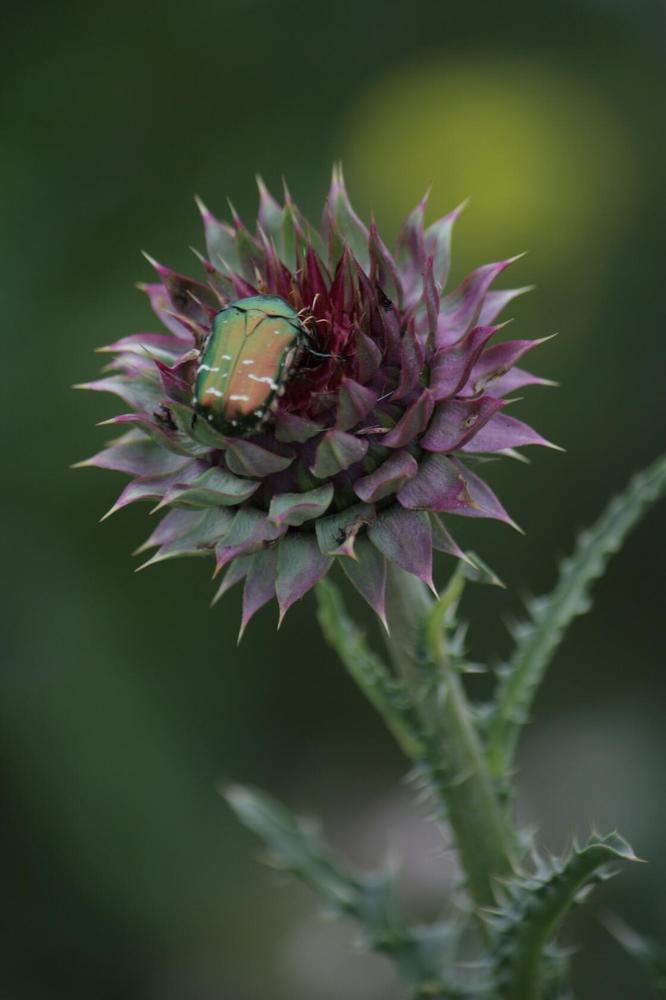 Photograph by Титова Наталья