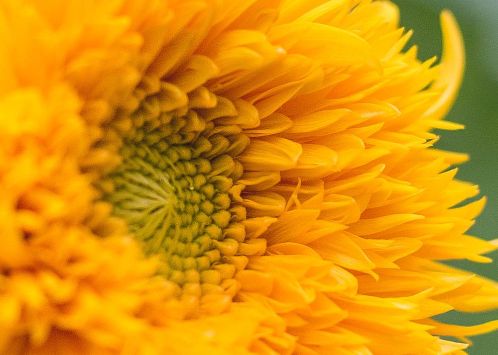 Photograph by Екатерина