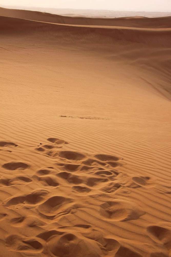 Фотография автора nisha de sousa