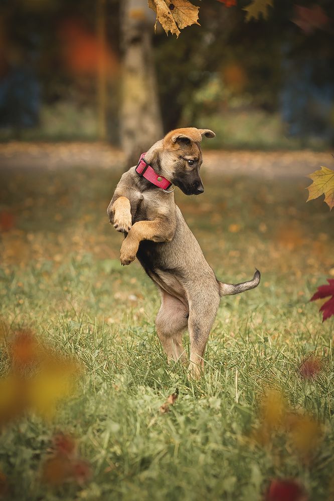 Photograph by Ирина Леонова