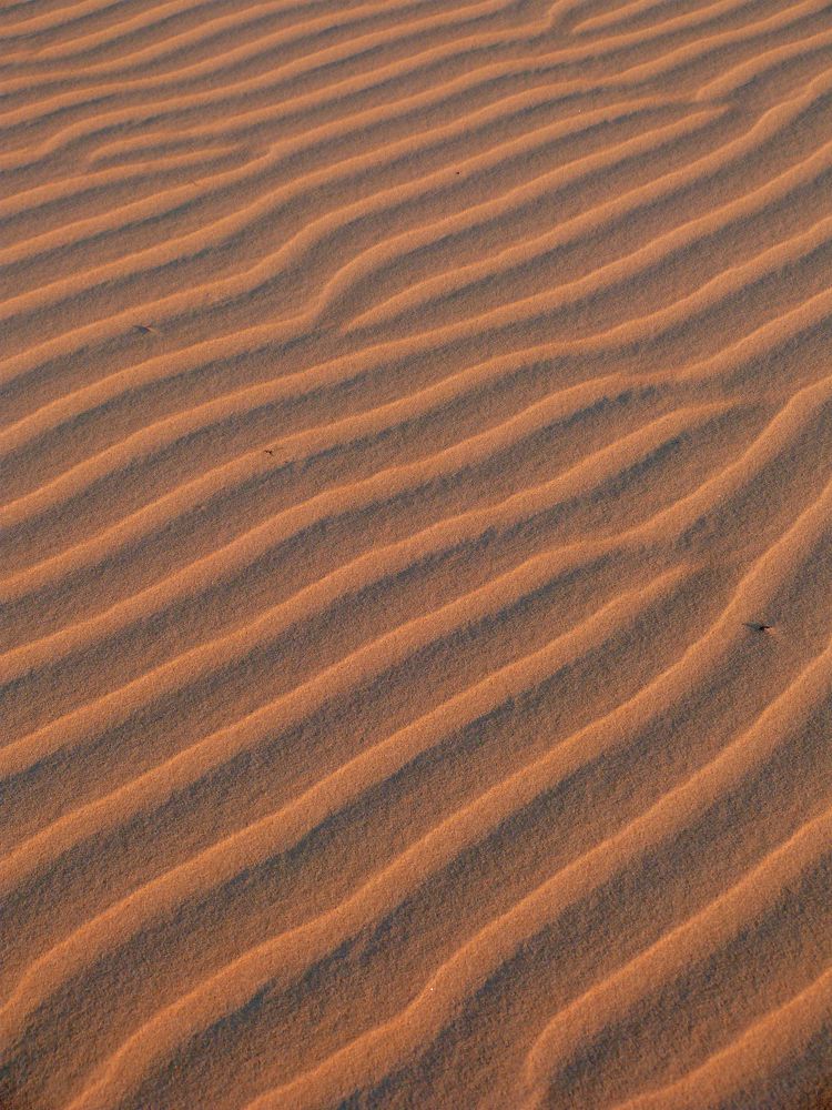 Photograph by GLEYDA GUTIÉREZ