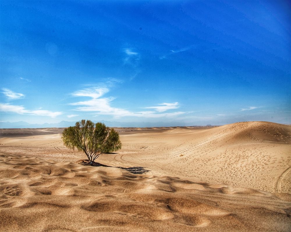 Photograph by Fatima Rashidi