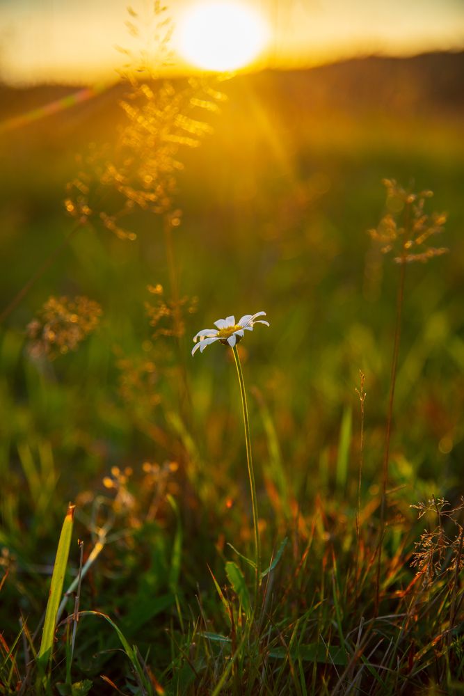 Photograph by Наталья Темная