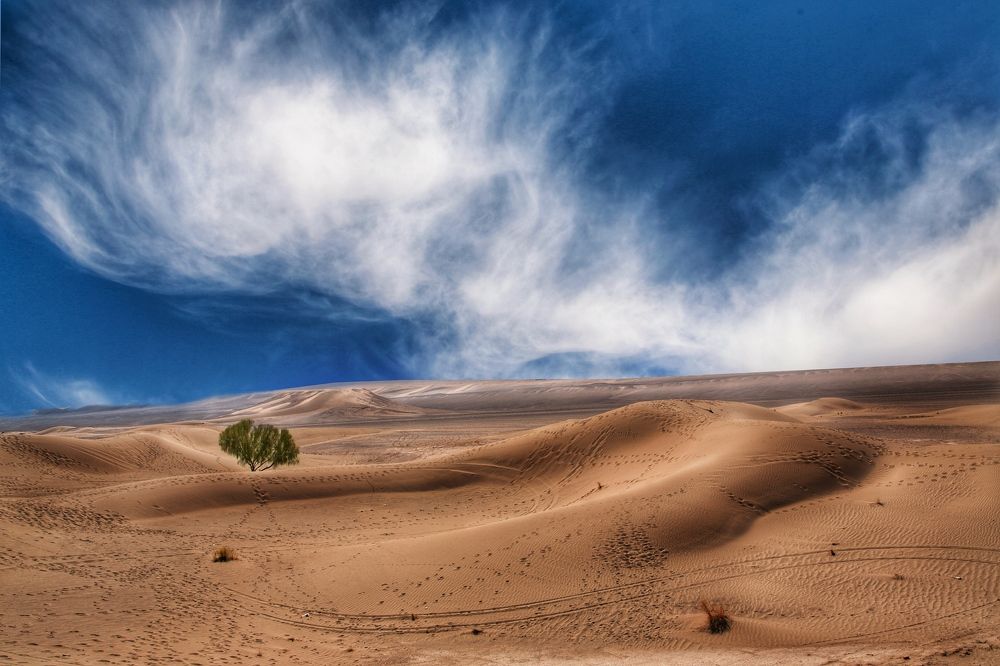 Photograph by Fatima Rashidi