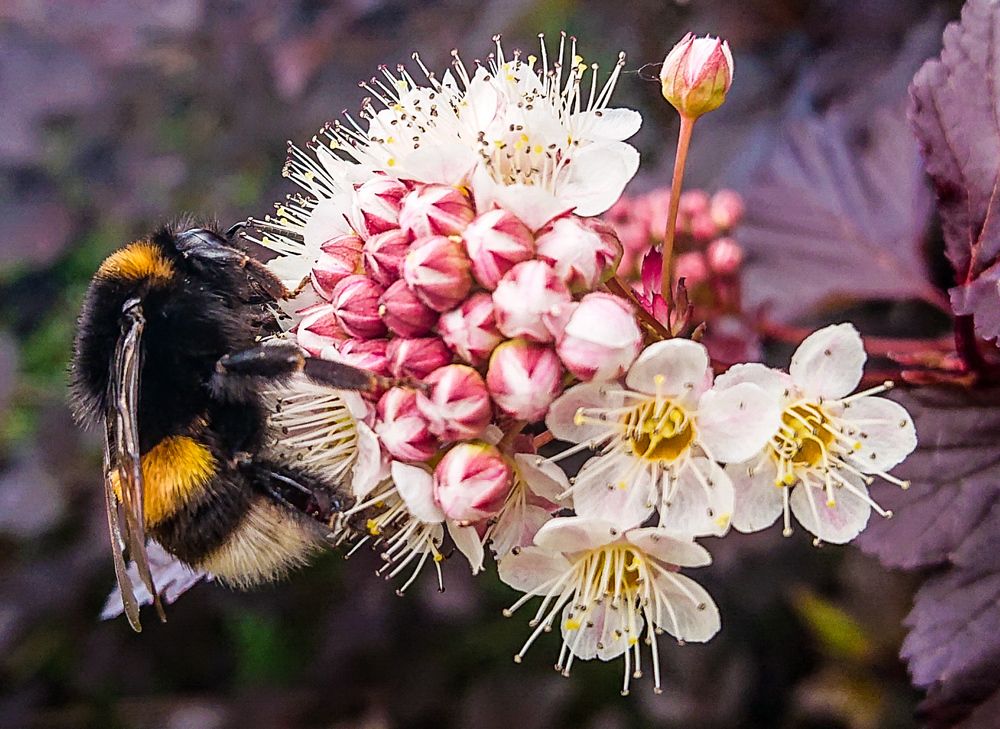 Фотография автора Elena Ku