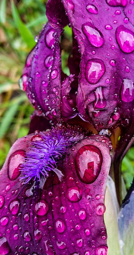 Фотография автора Elena Ku