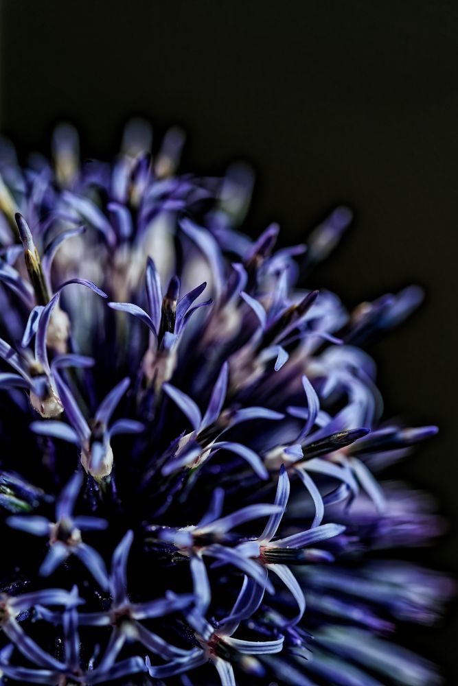 Photograph by Aleksei Degtjarjov