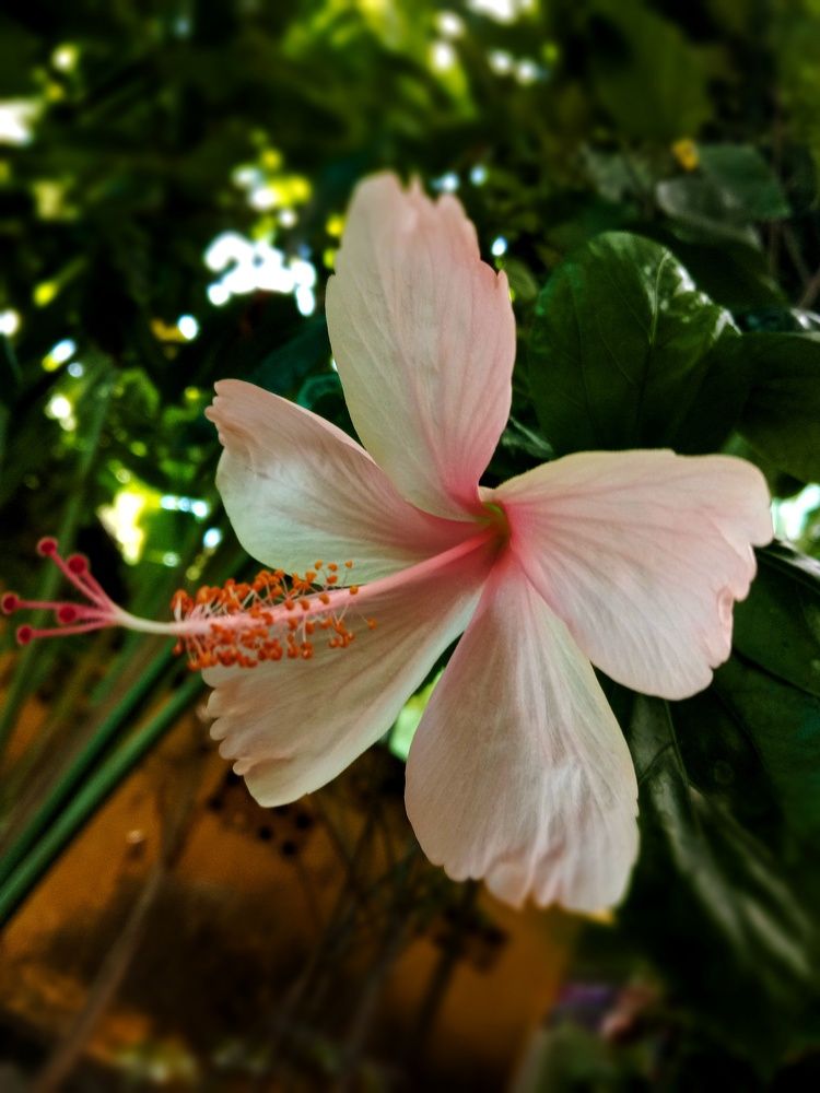 Фотография автора Pioneer Pixel