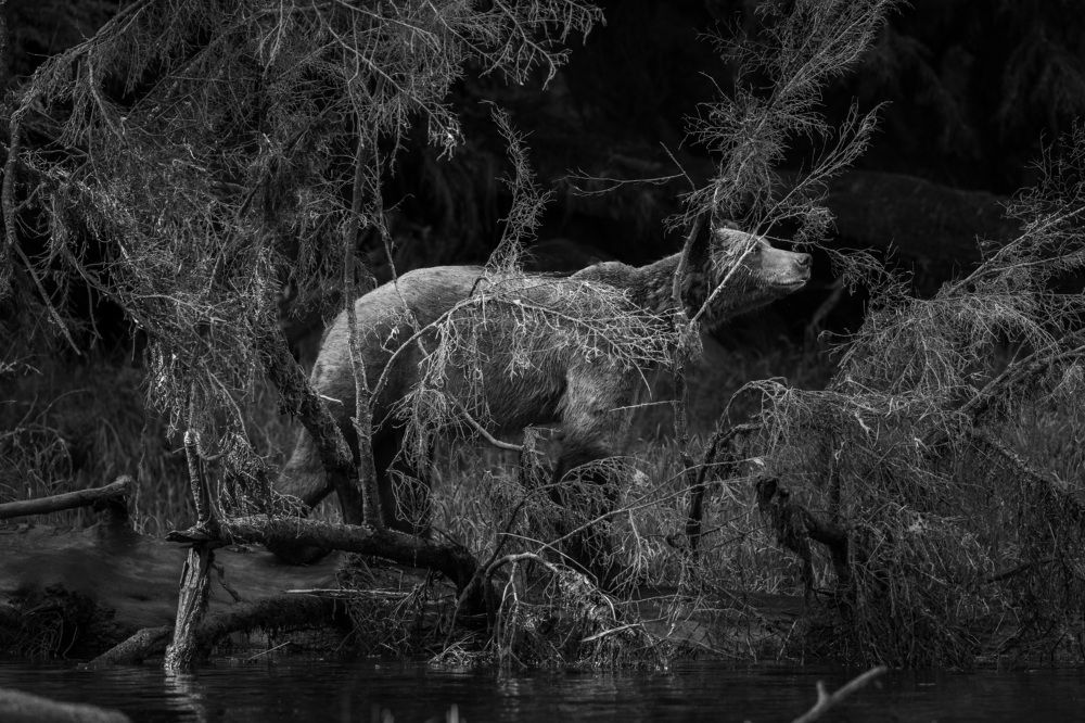 Фотография автора Frida Aspani