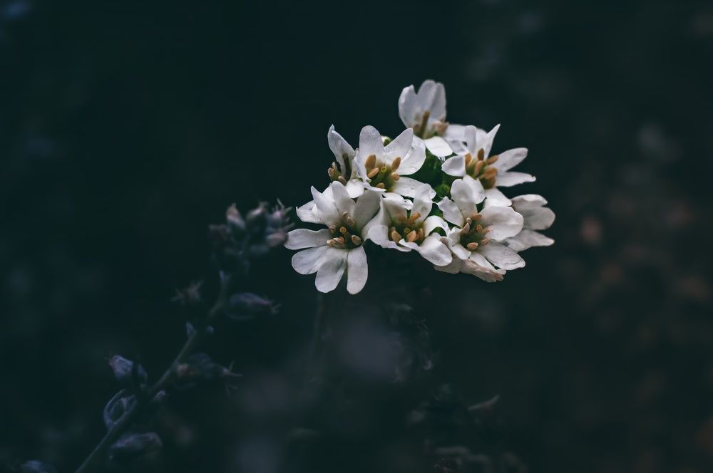 Photograph by Алексей