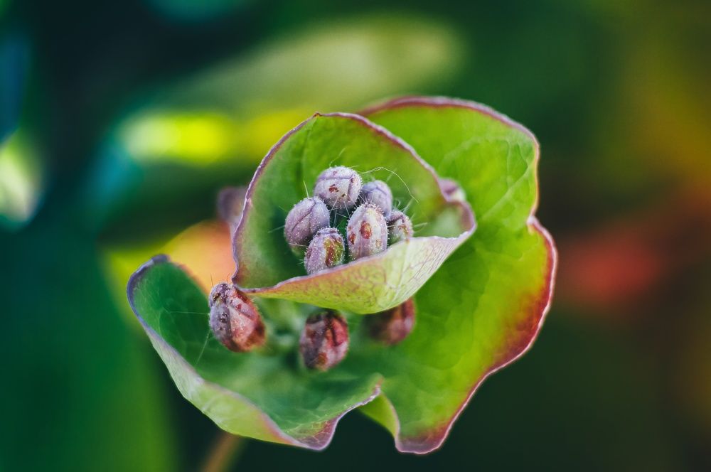 Photograph by Алексей