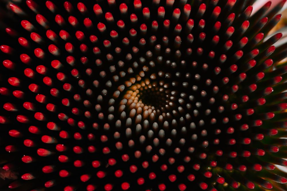 Photograph by Алексей