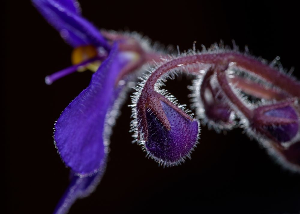 Фотография автора Николай Гришин