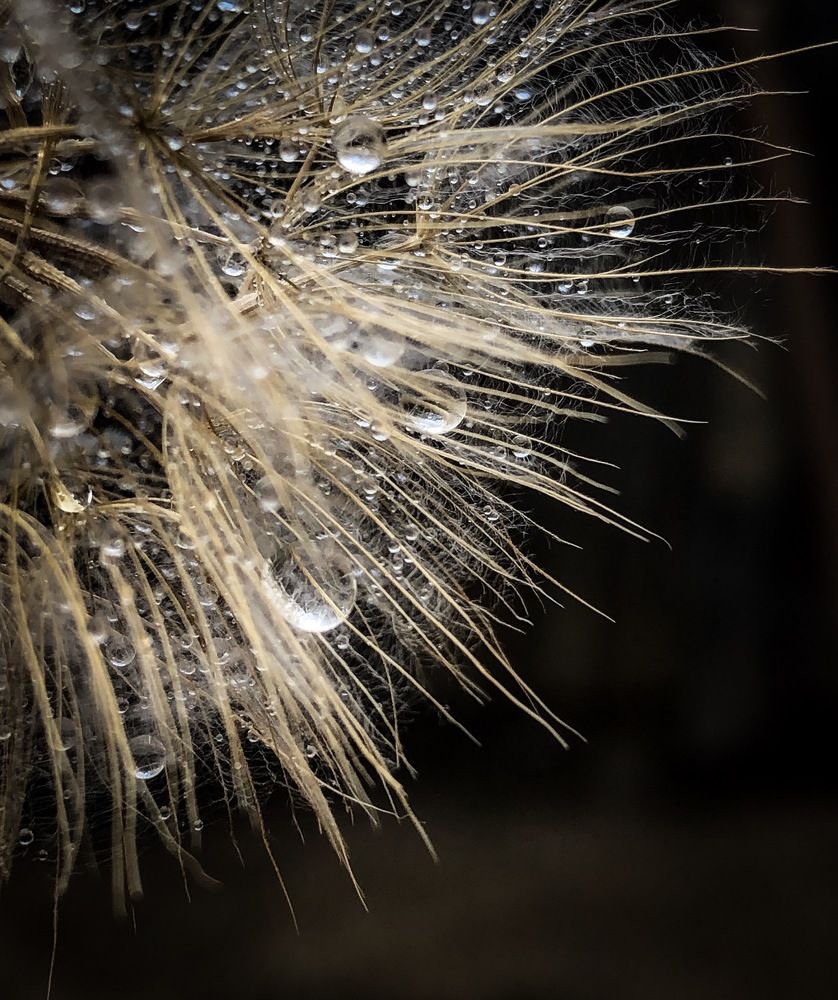 Photograph by Ольга Дубинкина