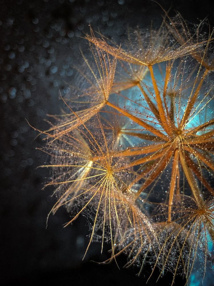 Photograph by Ольга Дубинкина