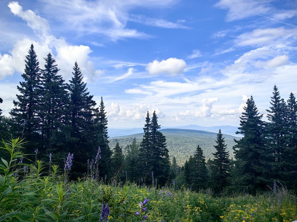 Photograph by Ольга Рыбалова